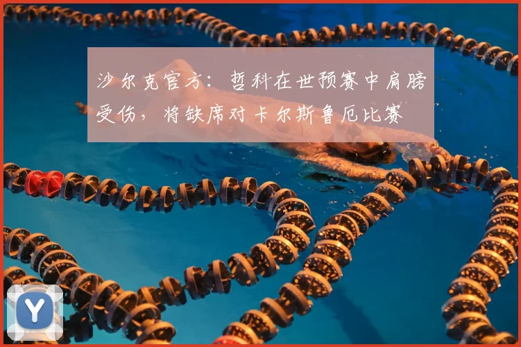 沙尔克官方：哲科在世预赛中肩膀受伤，将缺席对卡尔斯鲁厄比赛