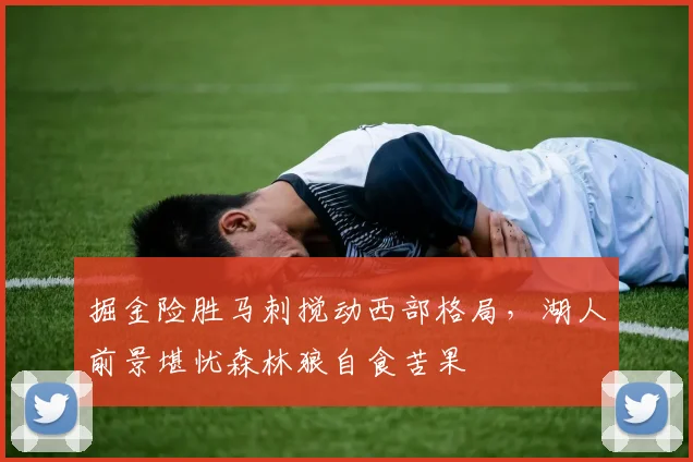 掘金险胜马刺搅动西部格局，湖人前景堪忧森林狼自食苦果